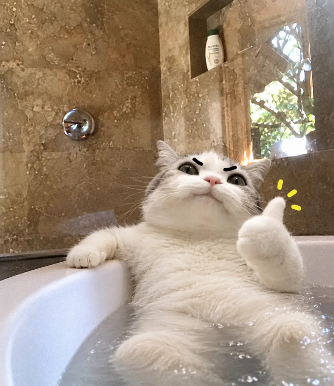 TITAN relaxing in a bathtub
