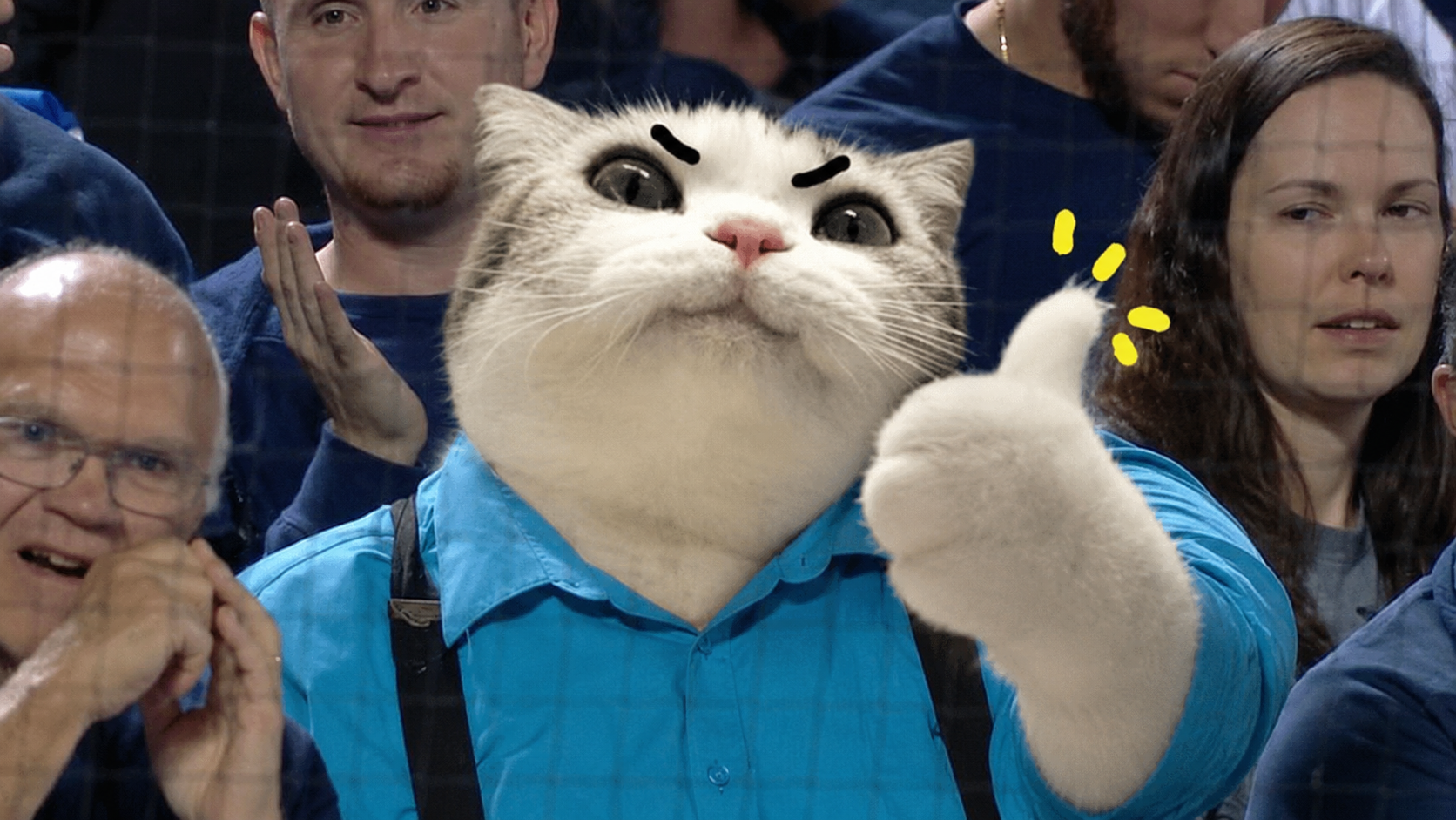 TITAN in a stadium crowd