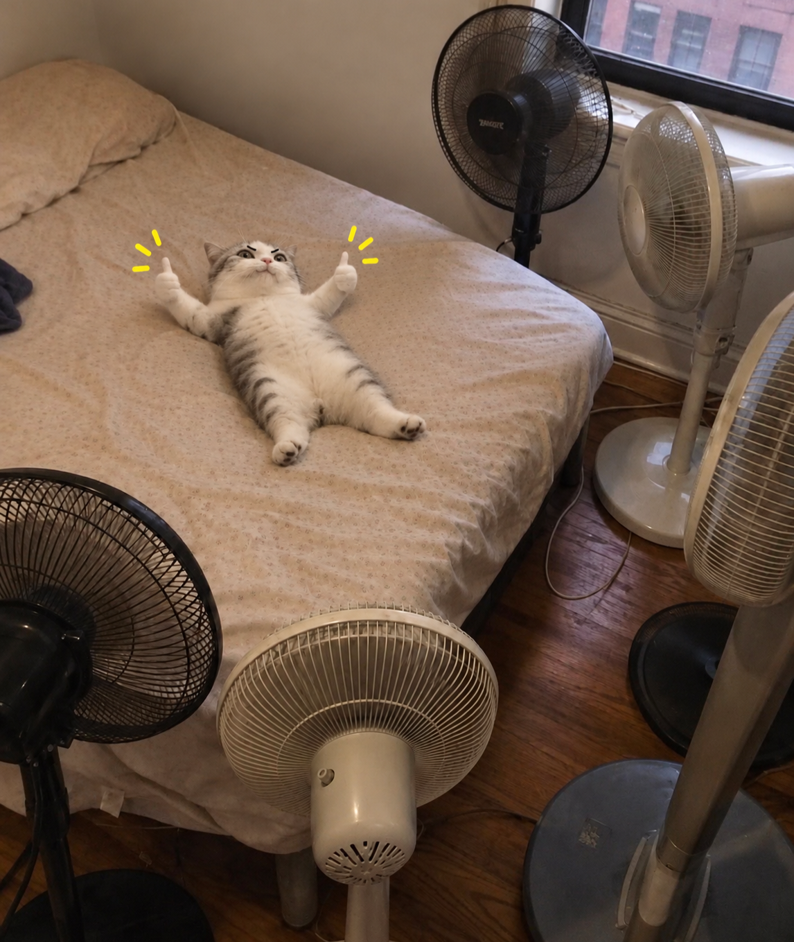 TITAN lying in front of many fans