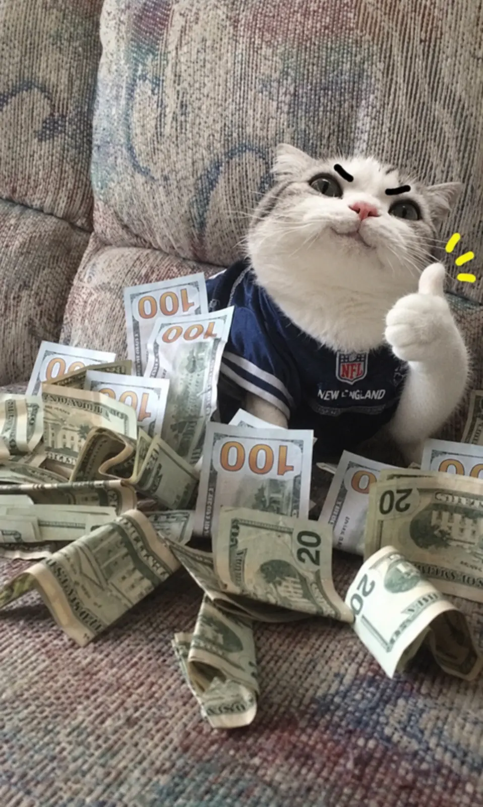 TITAN on a couch covered in cash