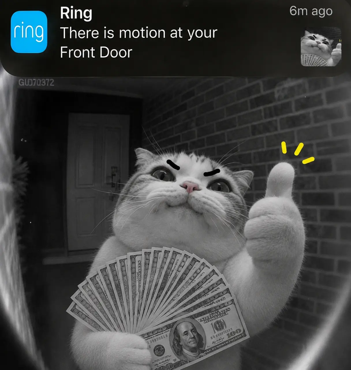 TITAN at a doorbell camera with cash
